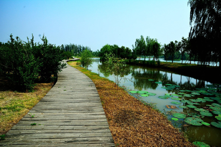 文章附图