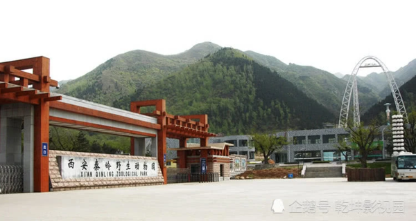 文章附图