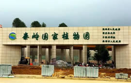 文章附图